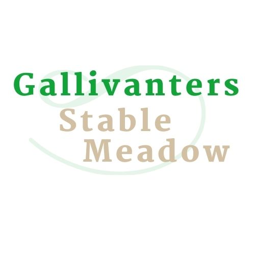 Gallivanters logo2021 Gallivanters logo2021